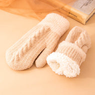 Fashion Twist Knit Warm Thickening Ladies Mittens