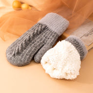 Fashion Twist Knit Warm Thickening Ladies Mittens