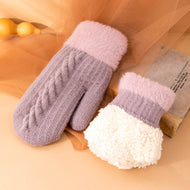 Fashion Twist Knit Warm Thickening Ladies Mittens