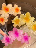 Candy Colored Flower Hair Clip