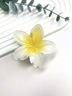 Flower Hair Clip for Girls