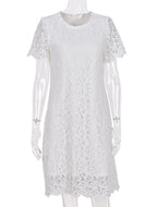 Round Neck Lined Short Sleeve Lace Women's Dress