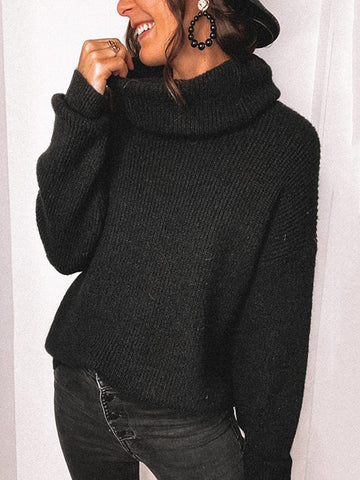 Solid Colored Turtleneck Sweater Tops