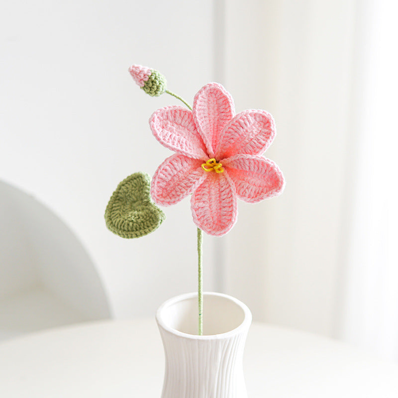 DIY Crochet Bouquet Handmade Preserved Flowers